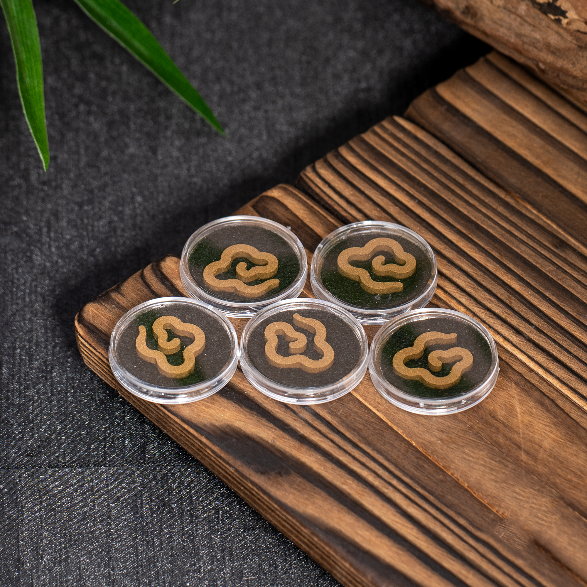 世间臻宝-棋楠盘香/三片装/多样性发/B1154