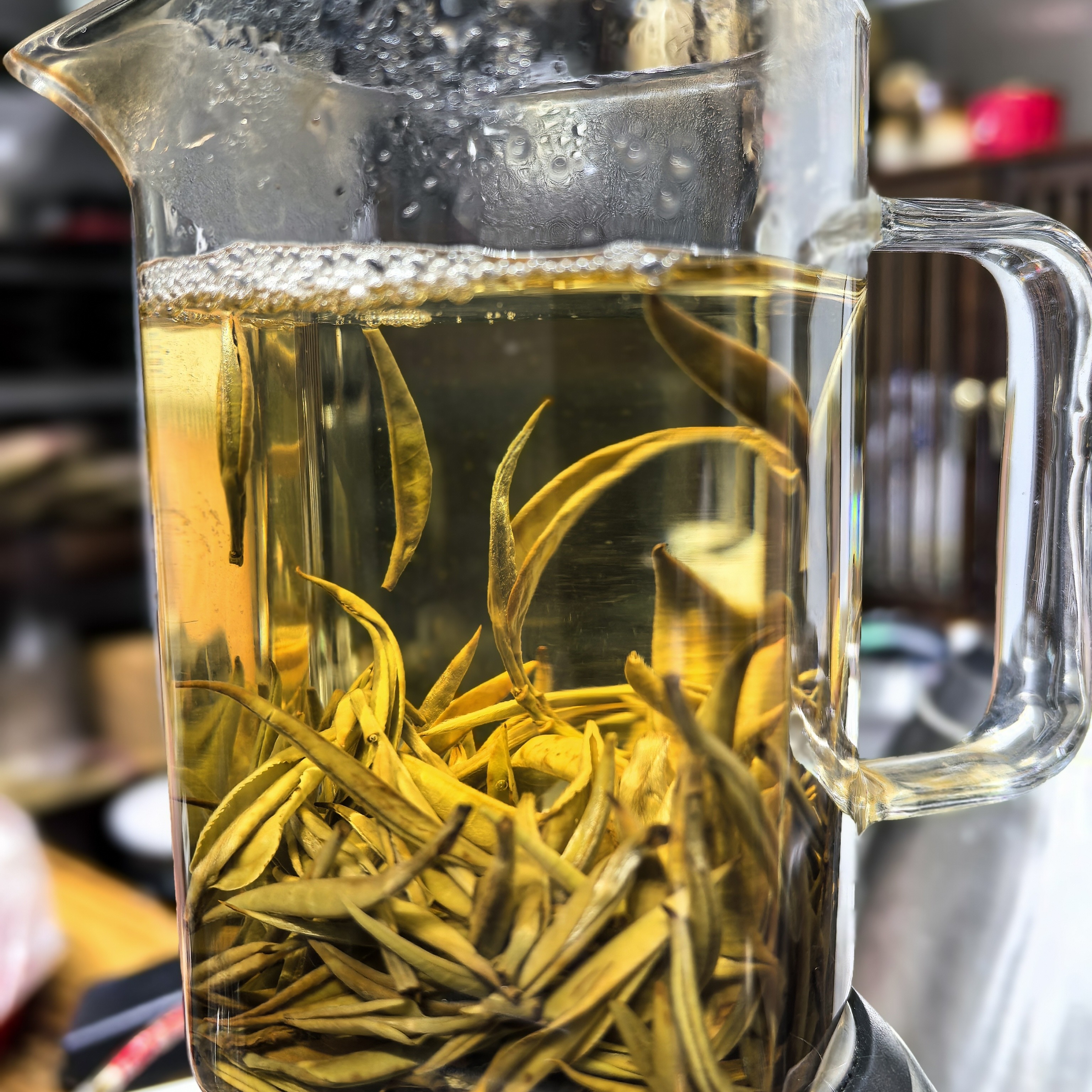 （一只小杨）2025年 头春大叶种白豪银针250克