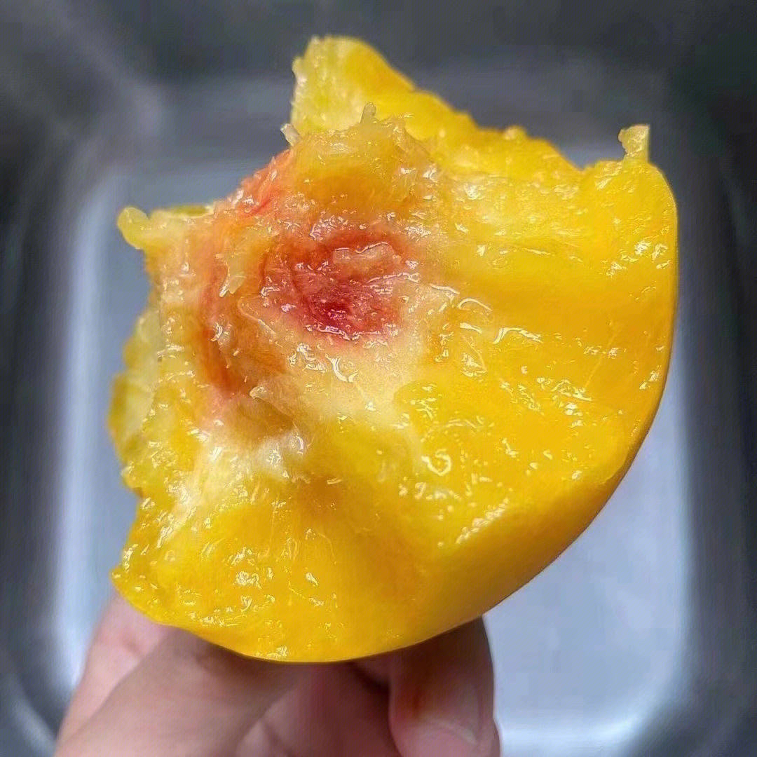 黄桃  毛桃 蜜桃新鲜现摘应季水果皮薄甜嫩多汁