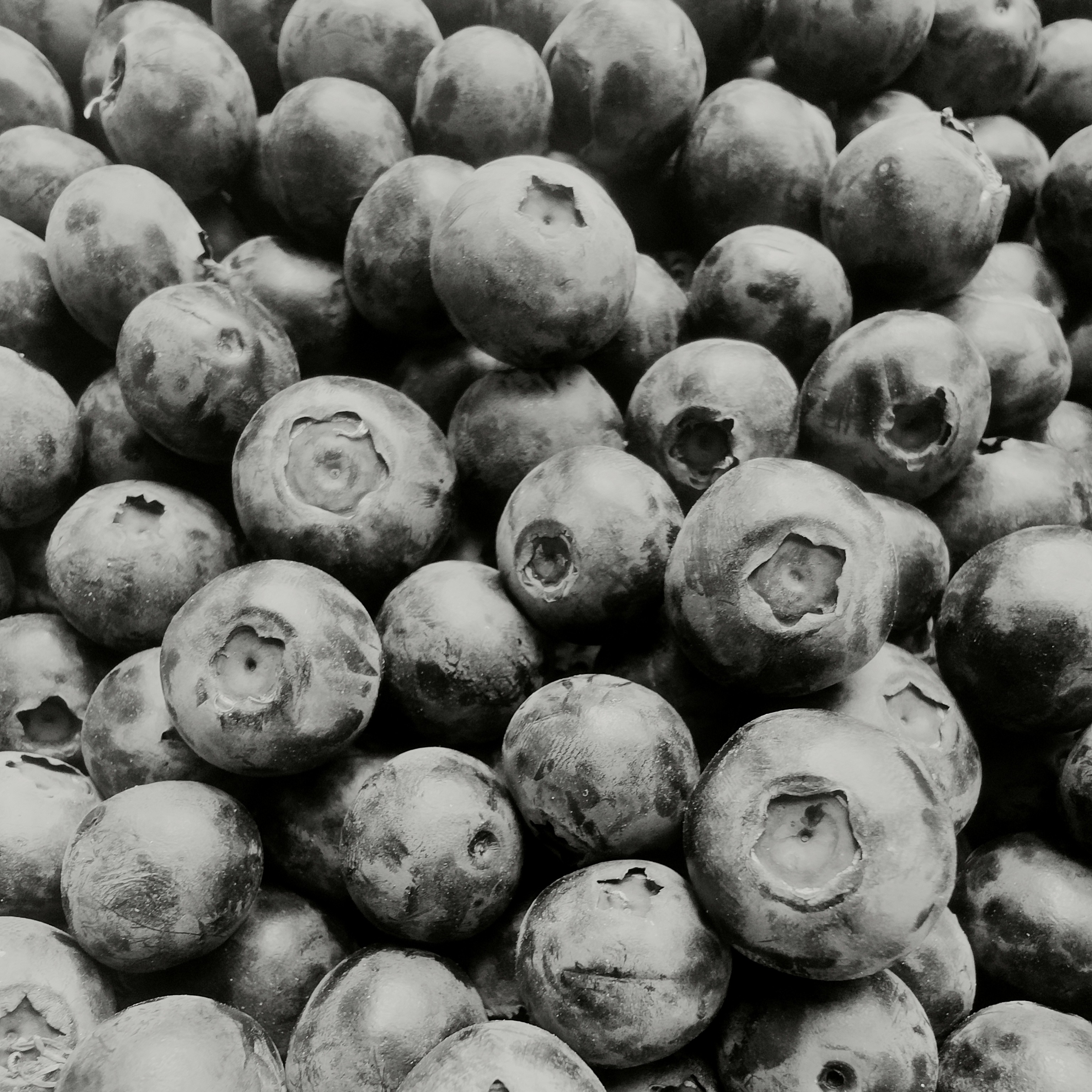 散装蓝莓/一份儿一斤云南省