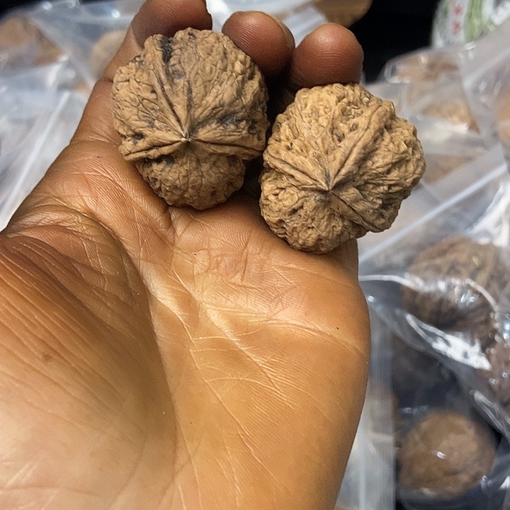 把件文玩核桃云南铁核桃基地17
