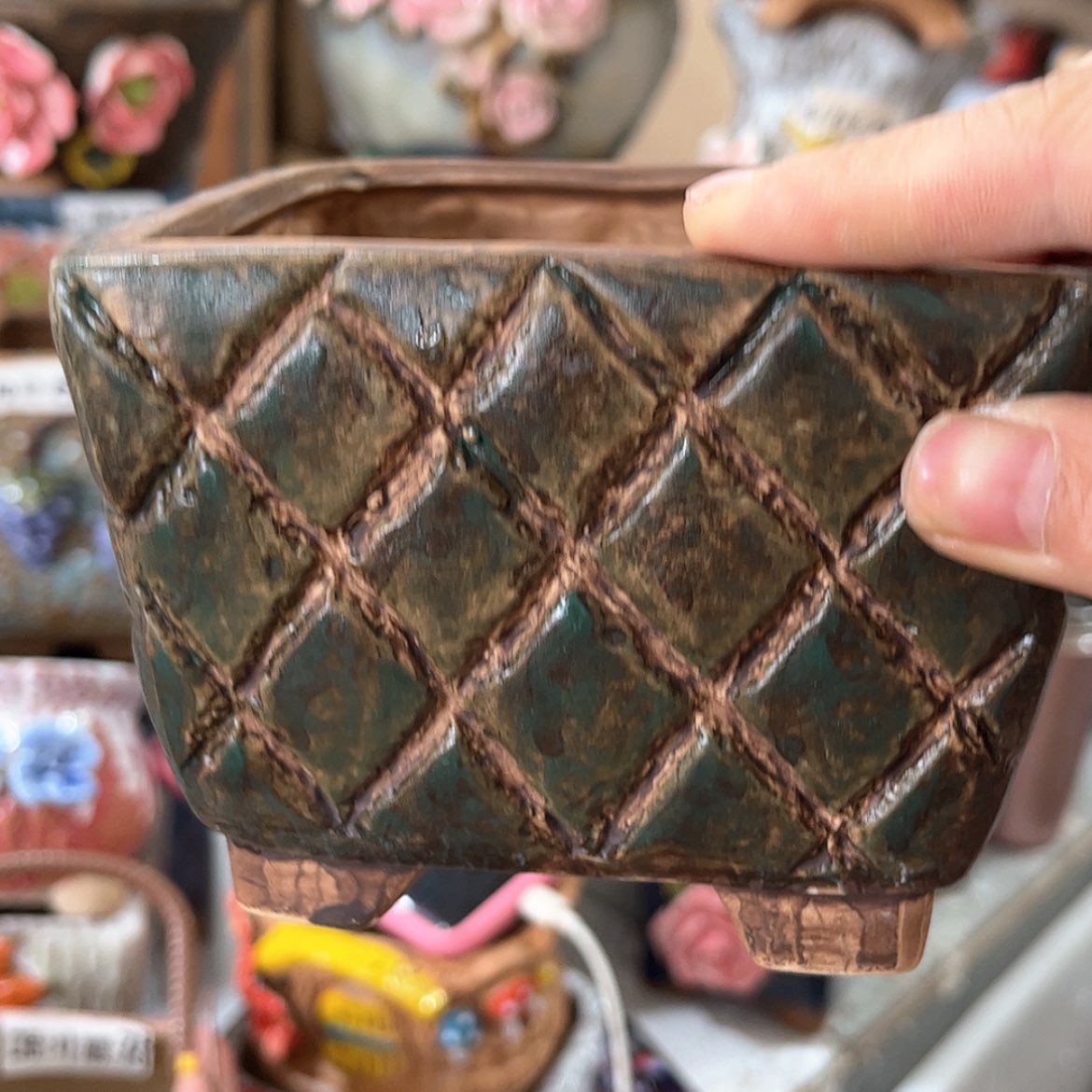 【闪购商品】红陶墨绿