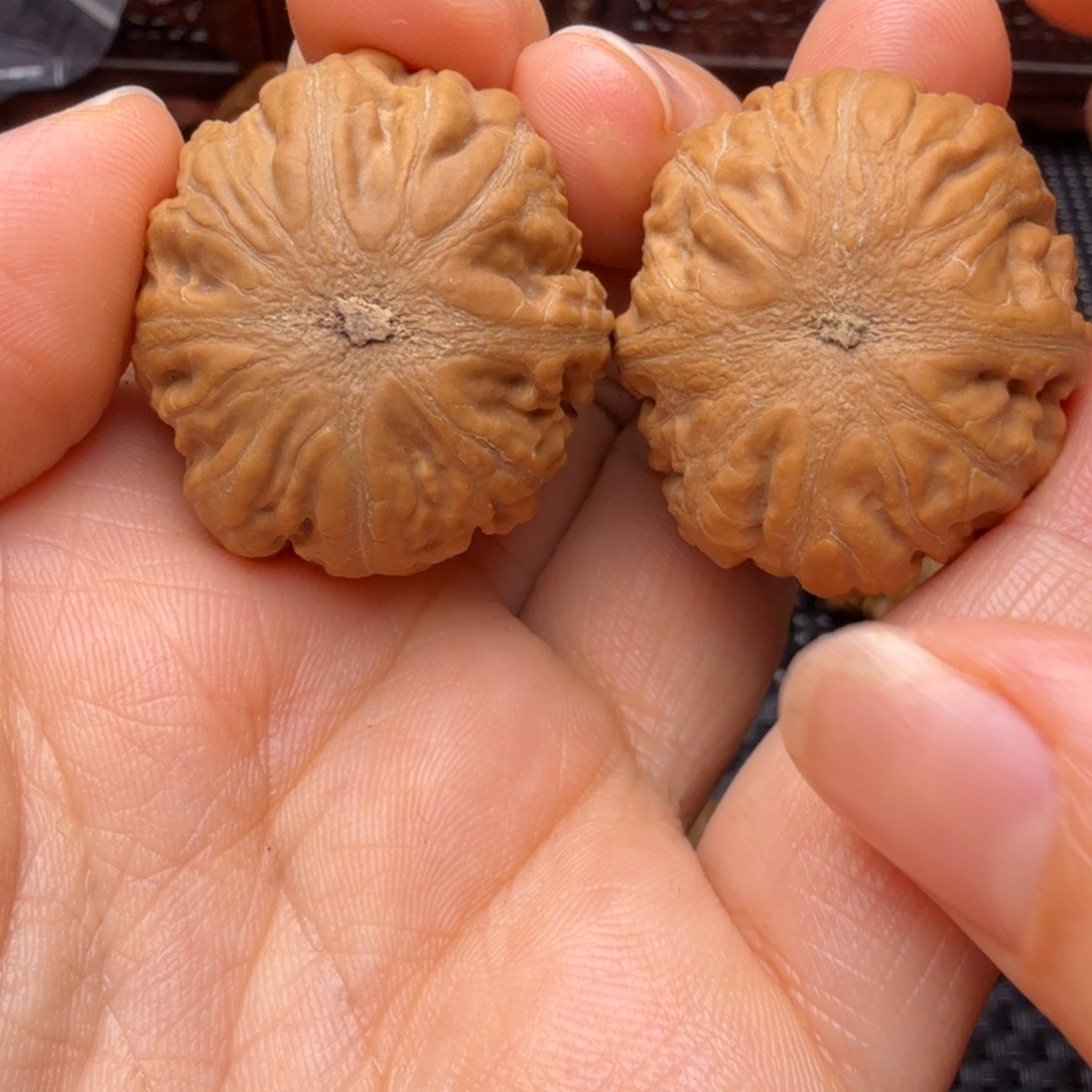 R***Z把件文玩核桃元宝灯笼04