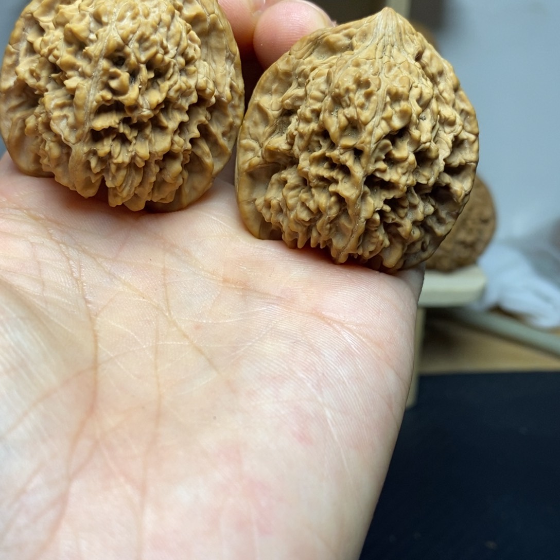 大叶紫檀（黑酸枝木类）41满天星