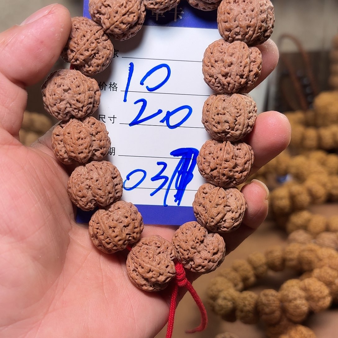 手串金刚菩提梅花龙牙037