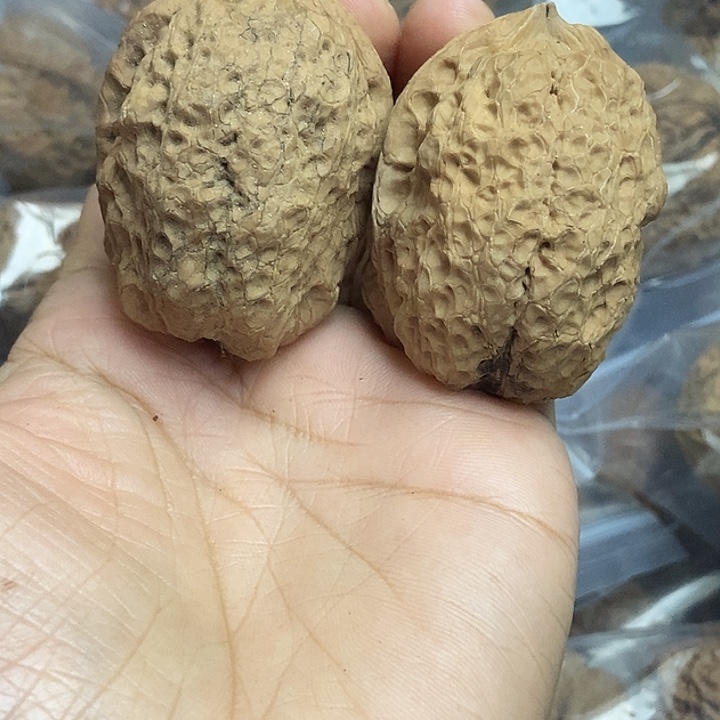 把件文玩核桃云南铁核桃基地15