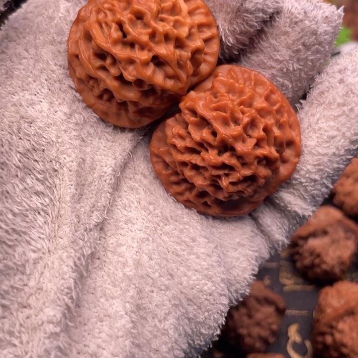 核桃38尺全品秦闷矮壮