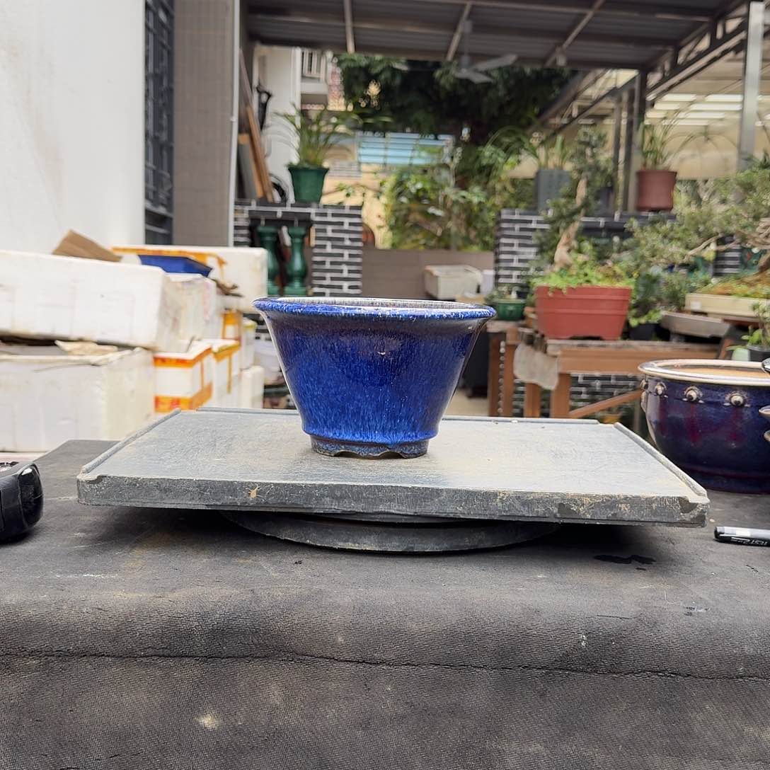 红陶g g g g f f f c c f f