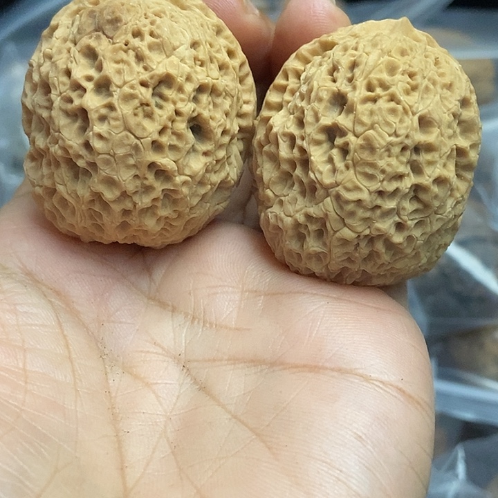 文玩核桃把件云南铁核桃基地83