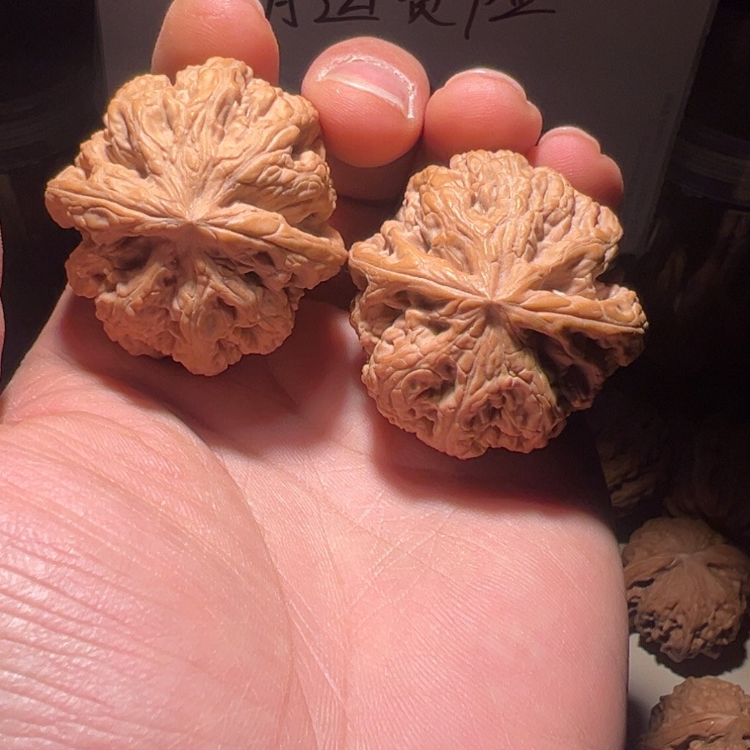 小***王文玩核桃把件41尺大粗筋