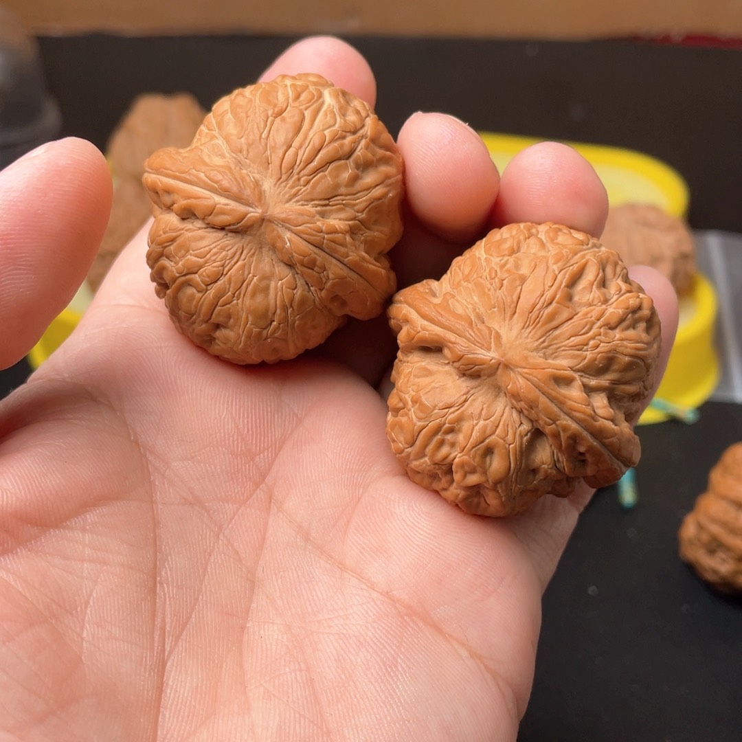 ❗***年核农文玩核桃元宝