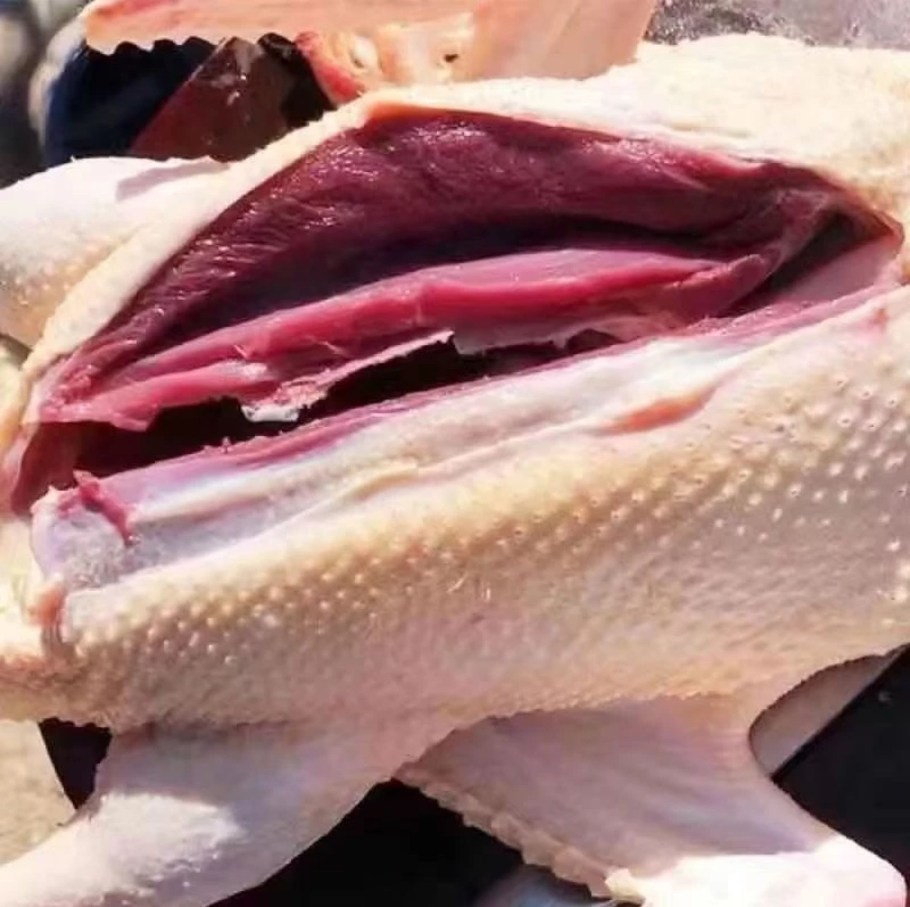 精选三只农家散养土鸭新鲜宰杀急冻锁鲜京东土鸭无掌翅内脏