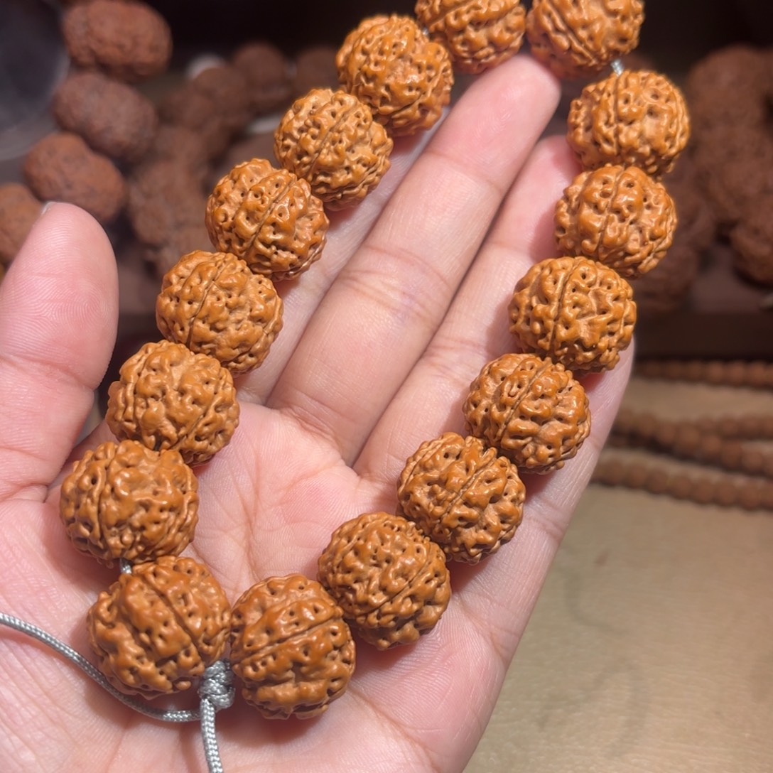 金刚菩提手串帝王花19mm