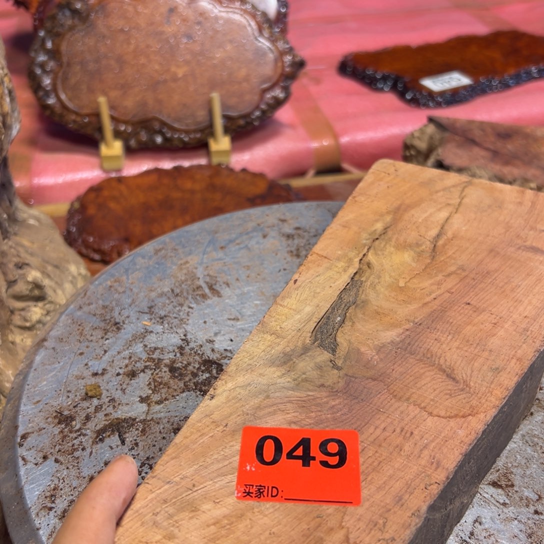 大果紫檀（缅甸花梨）