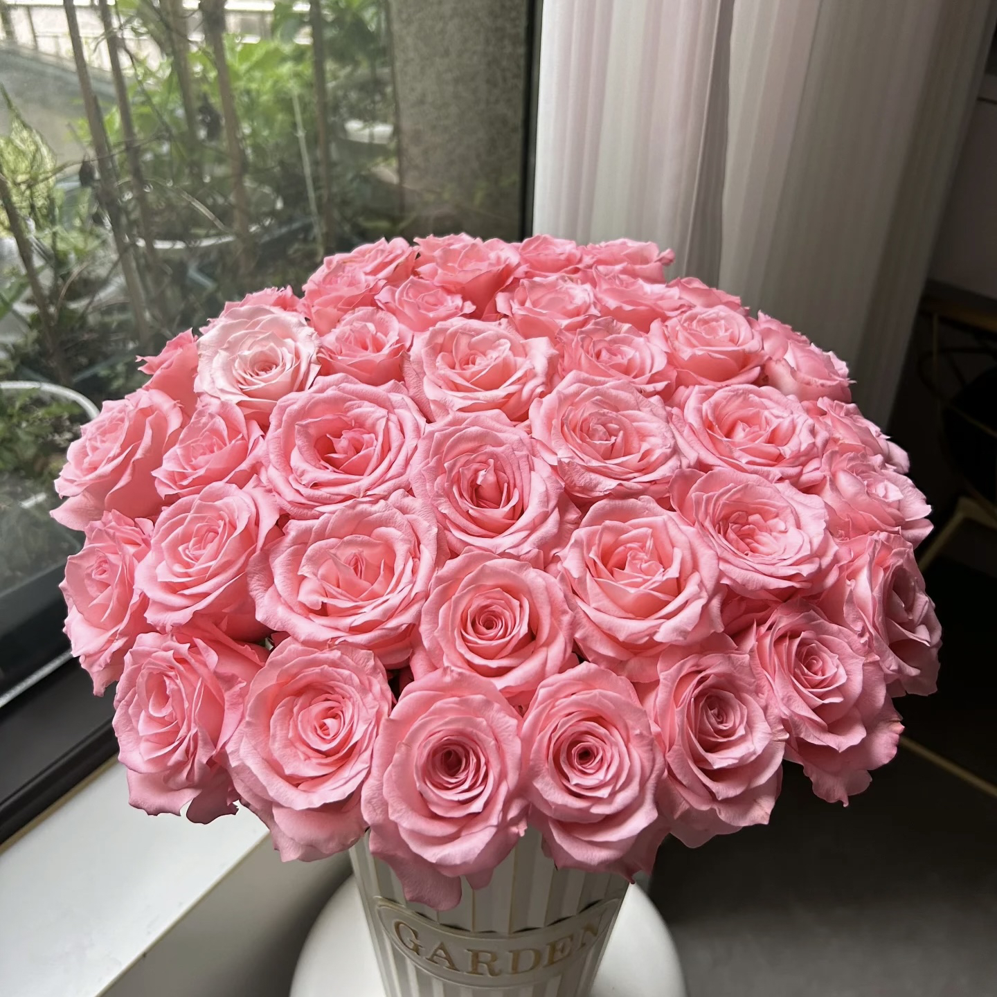 云影优选【戴安娜单头玫瑰7枝】云南鲜花批发次日达