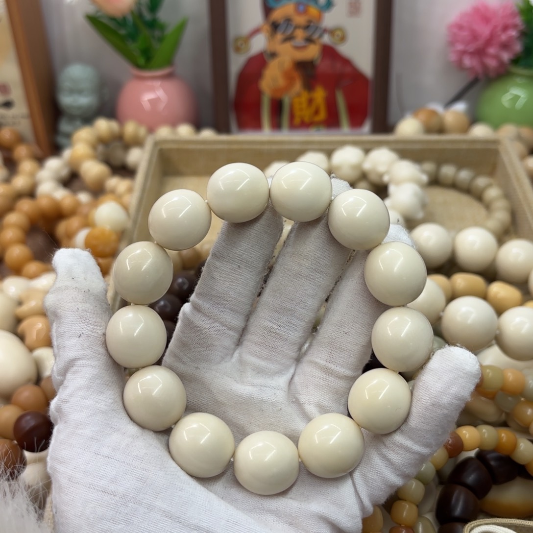 吊坠菩提根/象牙果19干磨牙果鹅蛋296