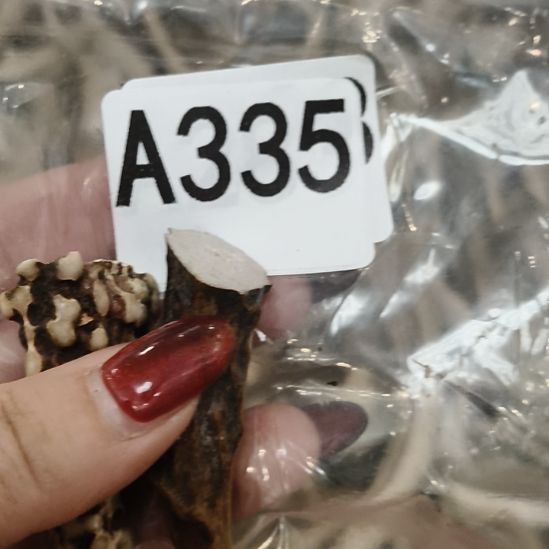 闲***事鹿角鹿角鹿角鹿角鹿角