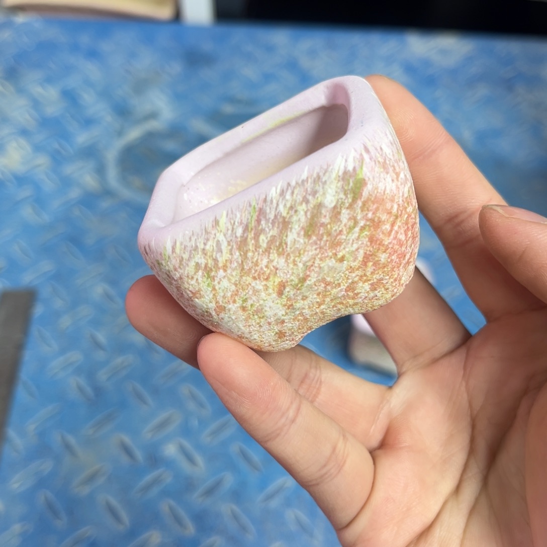 002福利款 专属福利