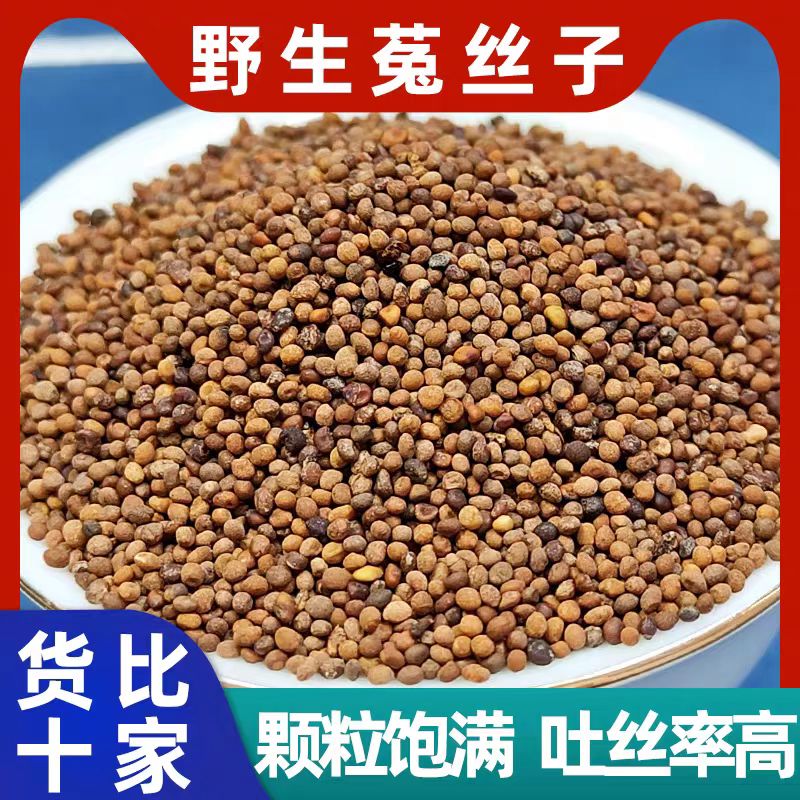 宁夏正宗菟丝子无硫精选颗粒饱满