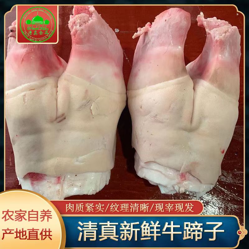 牛蹄掌 新鲜散养放养南阳黄牛带骨牛蹄掌牛蹄整只火烧去毛无科技