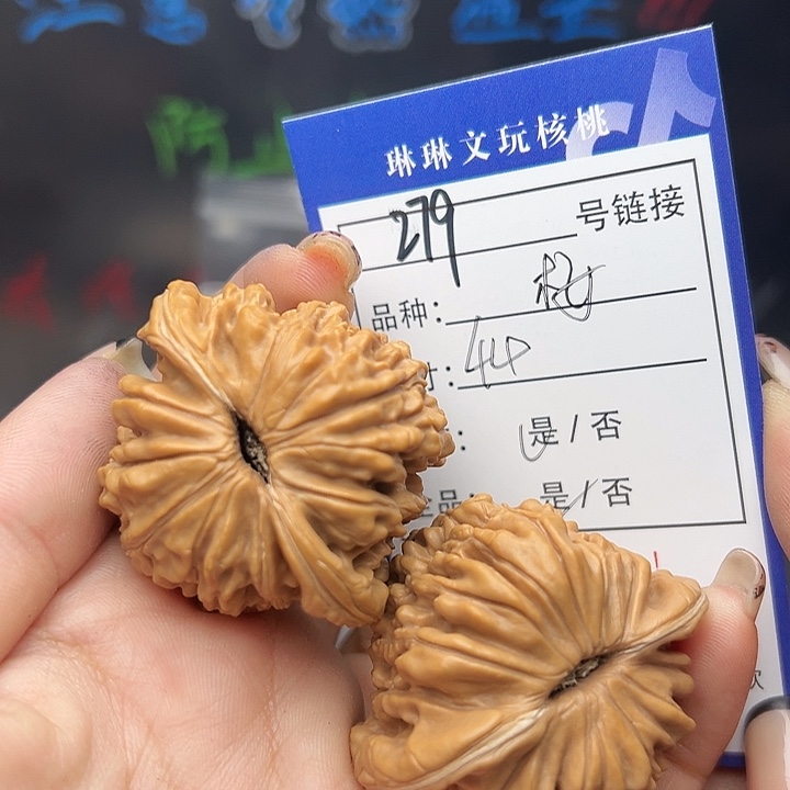 文玩核桃吊坠核桃树279