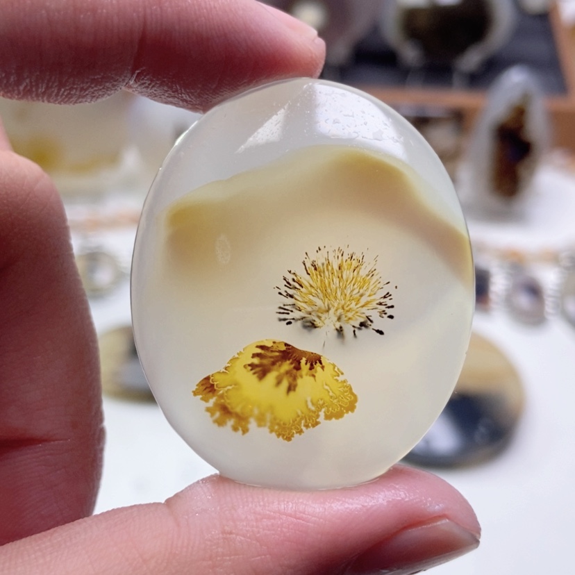 【闪购商品】玛瑙/玉髓颈饰未镶嵌