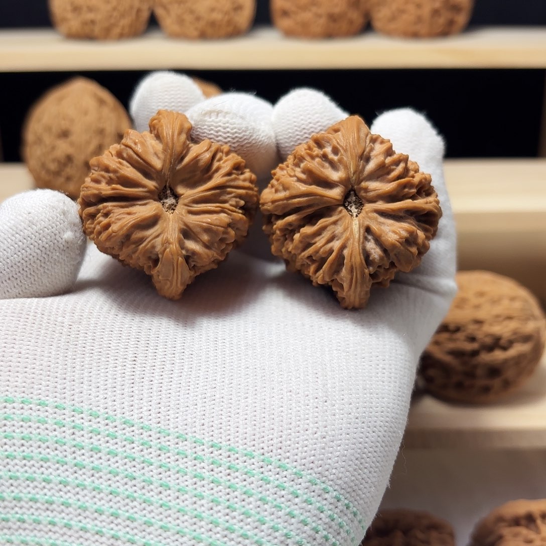 文玩核桃把件受**禄涿鹿南将有黄