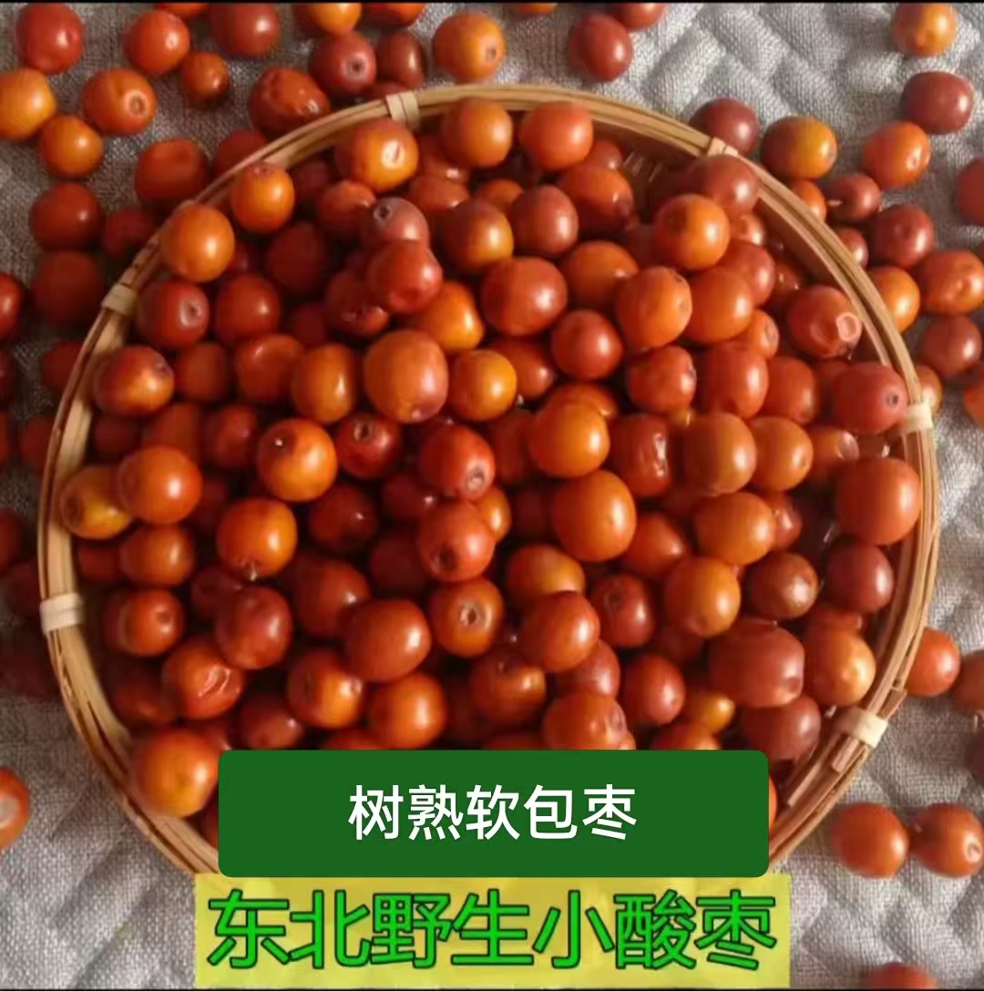 东北朝阳特产新鲜野生小酸枣核大孕妇零食原生态食品