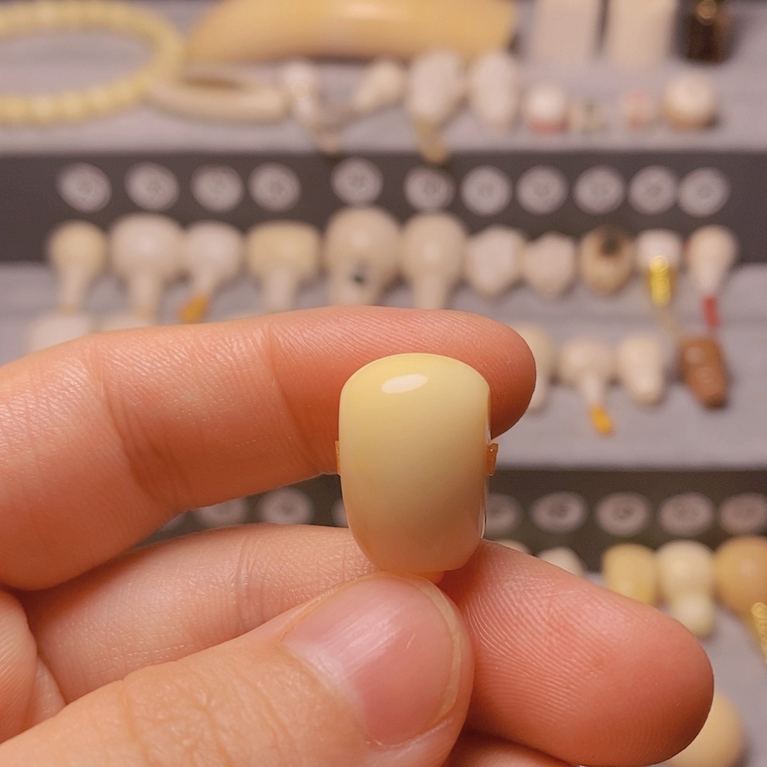 爱***丽猛犸99999999999999999999