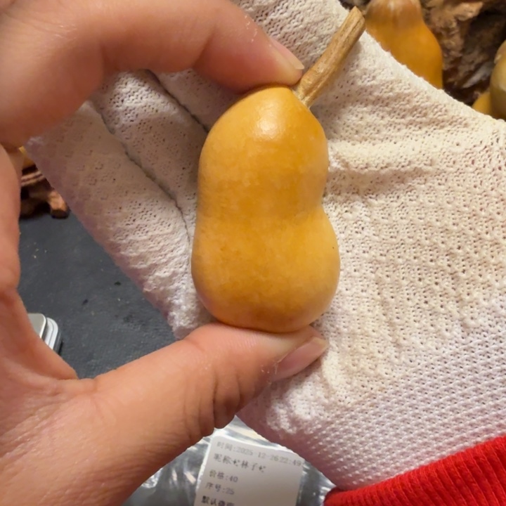 林***子66…………………………………………