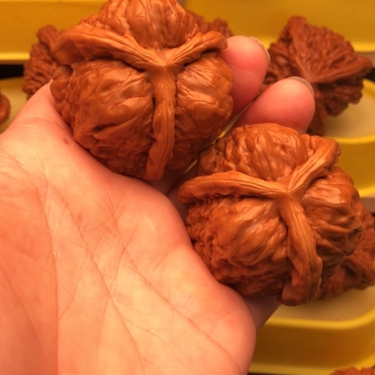 墨***迹核桃核桃核桃核桃核桃