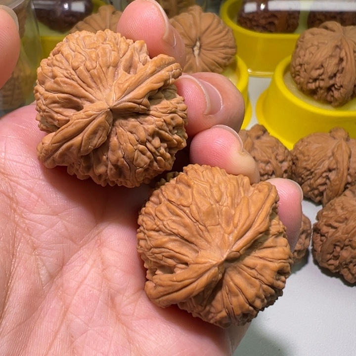 文玩核桃把件34白狮子