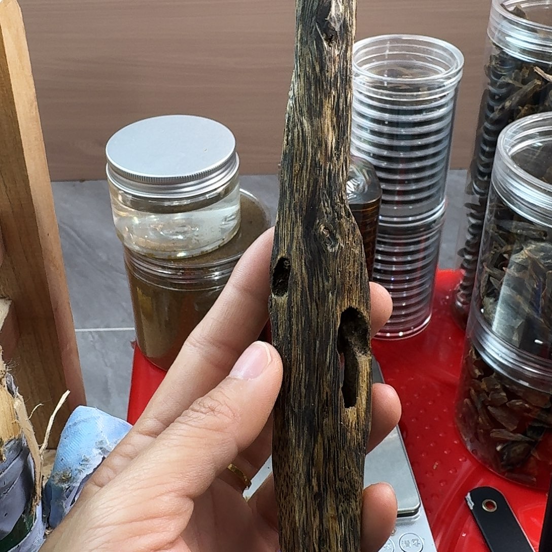 香料绿奇楠虫漏白棋24克