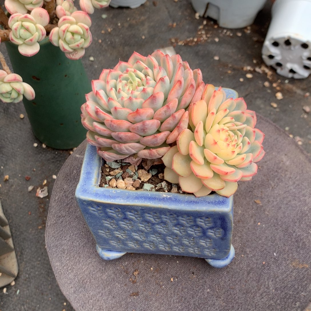 人工增水系统在国内已经应用