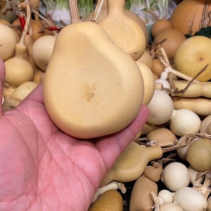 爱****谁精品葫芦手把葫芦34