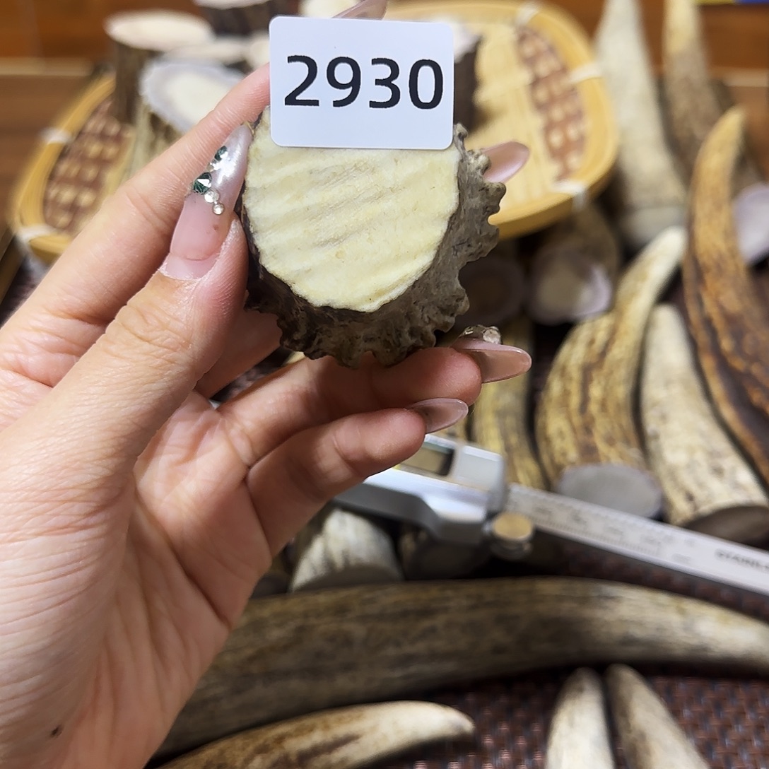 手串/手链鹿骨2930角帽