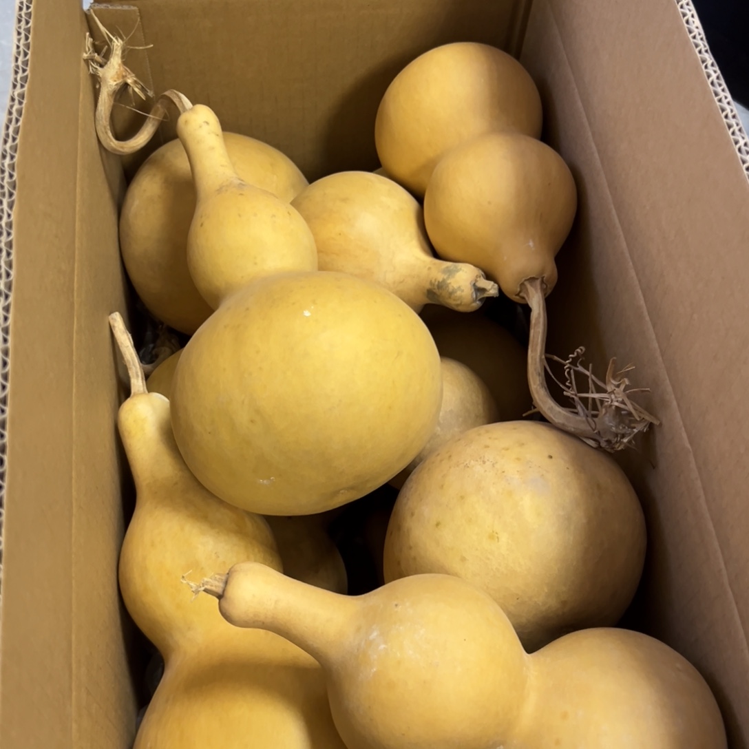 在***茫有机玻璃葫芦葫芦