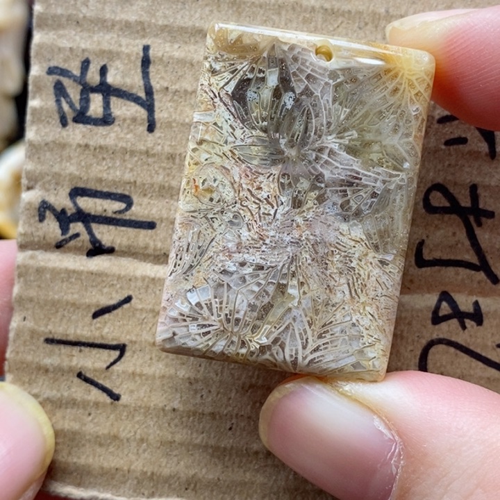 硅化珊瑚（珊瑚玉）颈饰未镶嵌