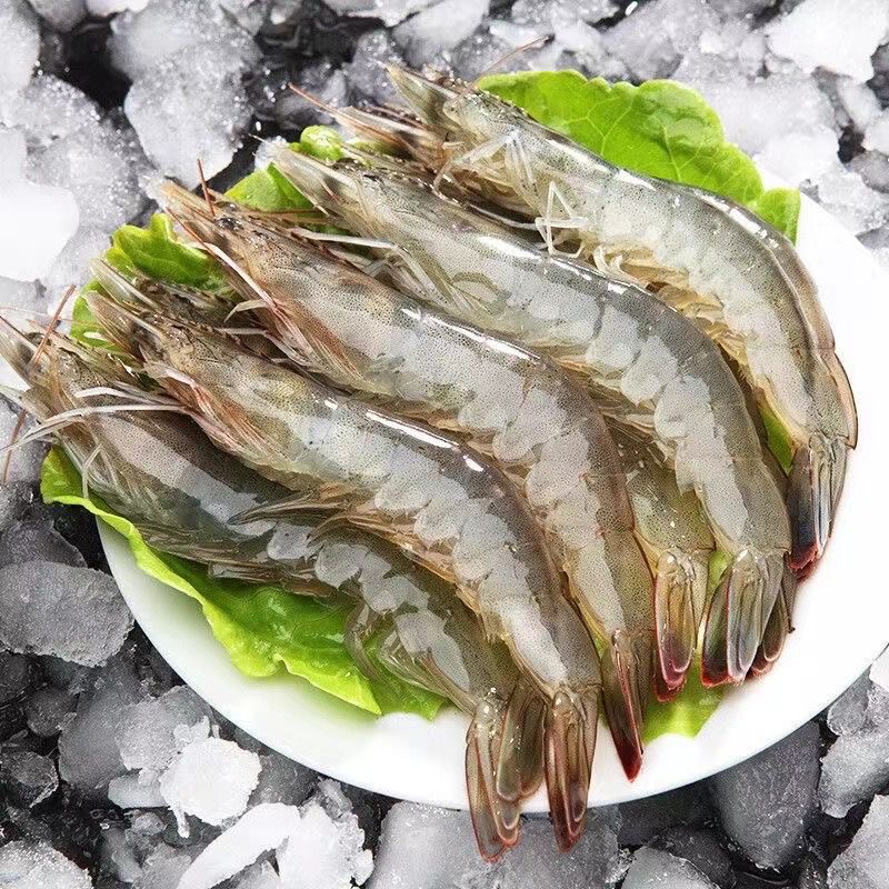 3040规格海水大虾新鲜到货无冰衣顺丰包邮
