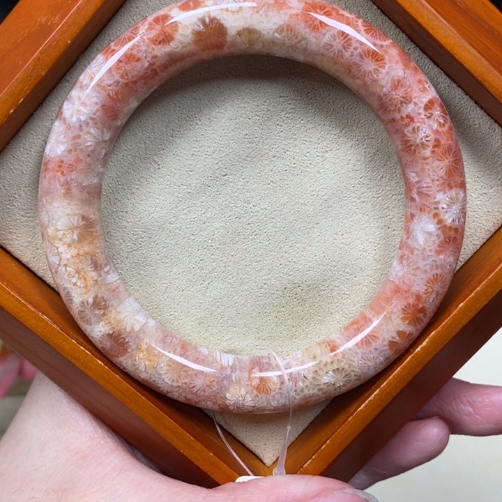 硅化珊瑚（珊瑚玉）手镯未镶嵌55