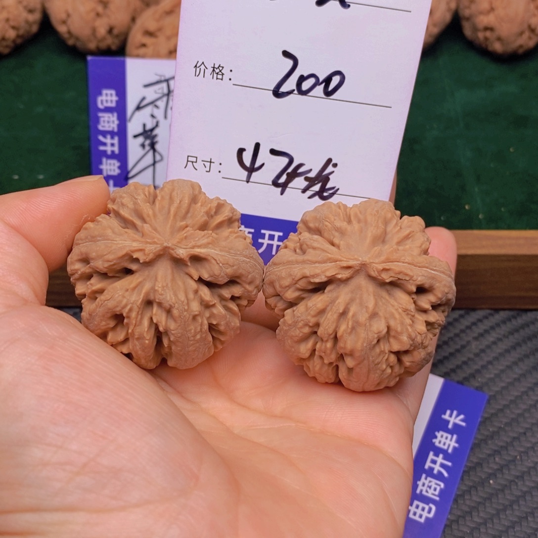 沧***震文玩核桃霸王龙核桃