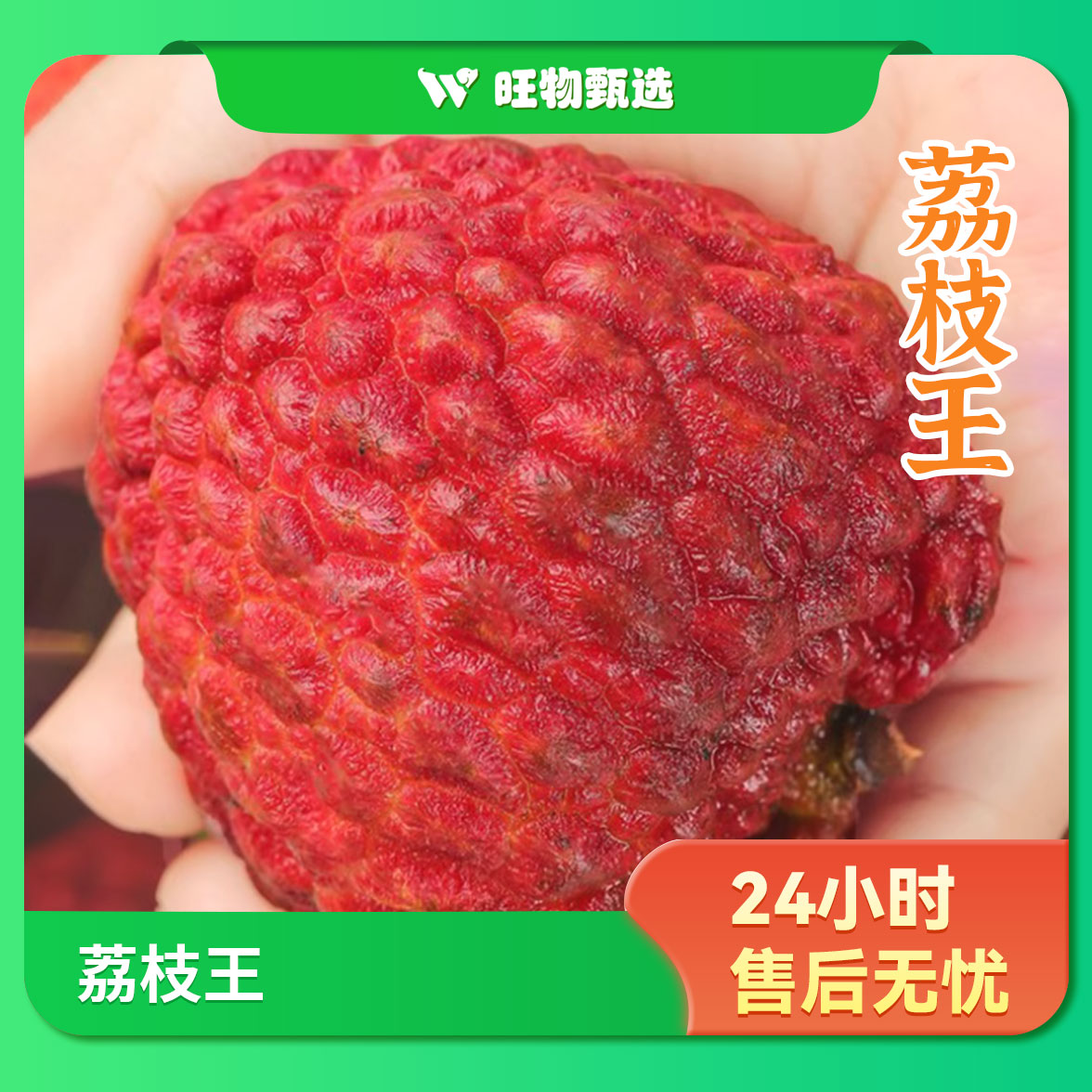 【旺物甄选】荔枝王500g荔枝同城送广东省