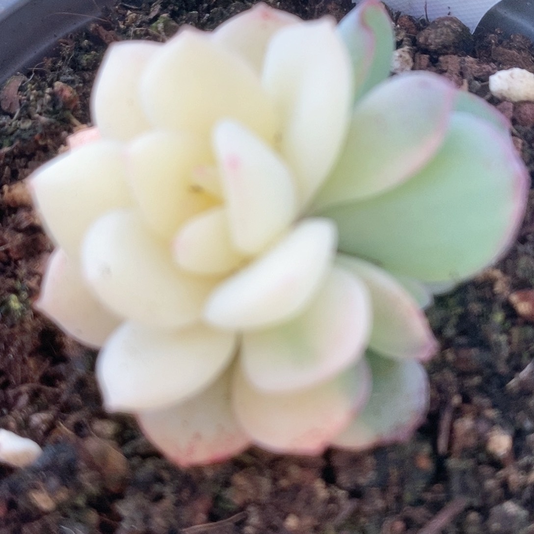 030哈哈哈哈哈哈哈哈哈