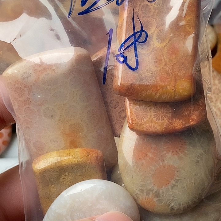 圆***V硅化玉未镶嵌颈饰