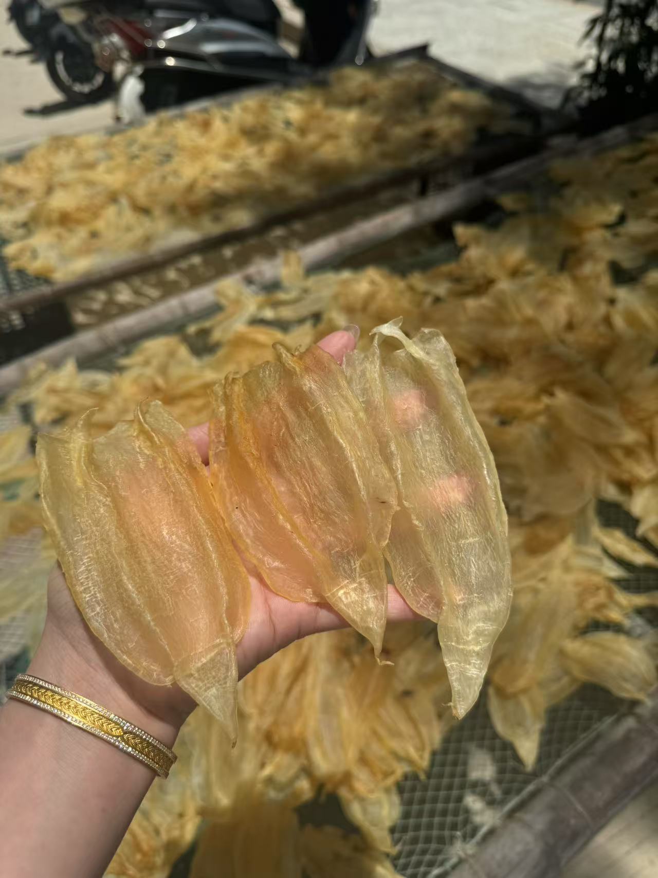 惠来神泉 永太海产品 苏里南北海母胶认可度极高鱼胶100g-500g