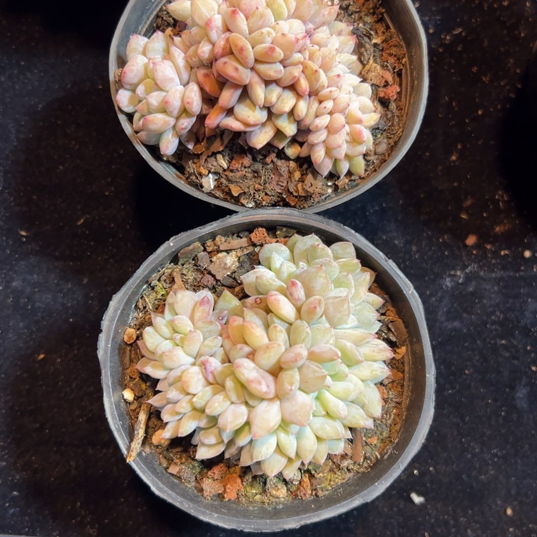 晴****^新年快乐 新年快乐