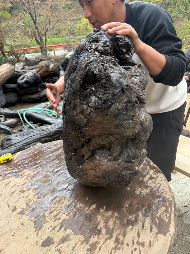 民间使用风化木漂流木