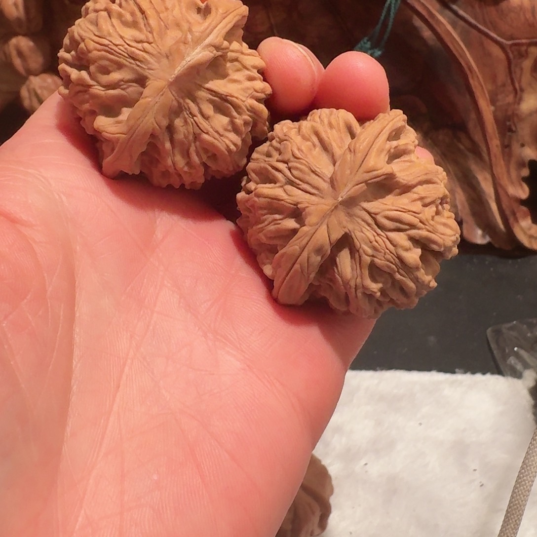 初*全品二爷帽狮子头42