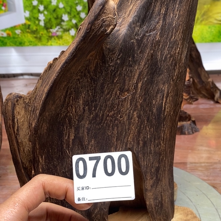 西***人木我在外面吃饭140