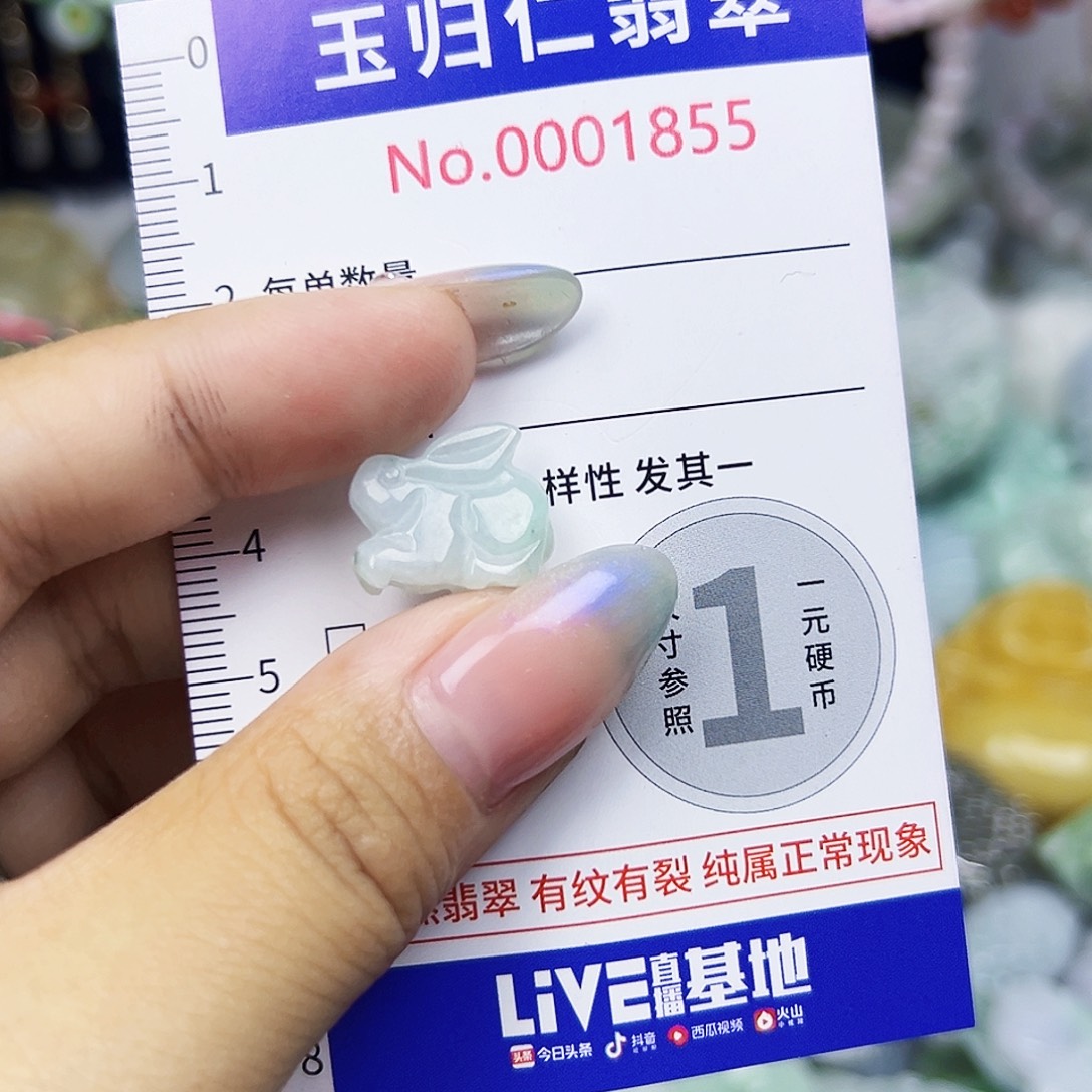 翡翠未镶嵌颈饰1111
